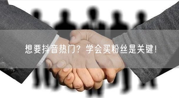 想要抖音热门？学会买粉丝是关键！