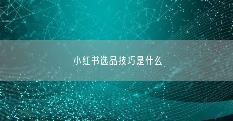 小红书选品技巧是什么