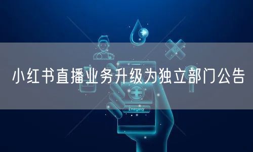 小红书直播业务升级为独立部门公告