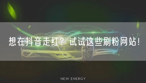 想在抖音走红？试试这些刷粉网站！
