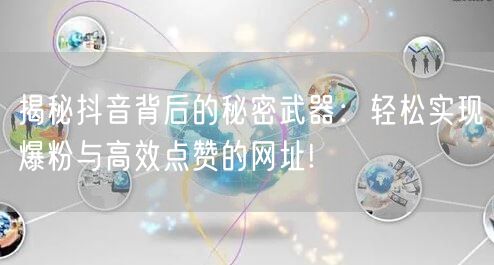 揭秘抖音背后的秘密武器：轻松实现爆粉与高效点赞的网址!