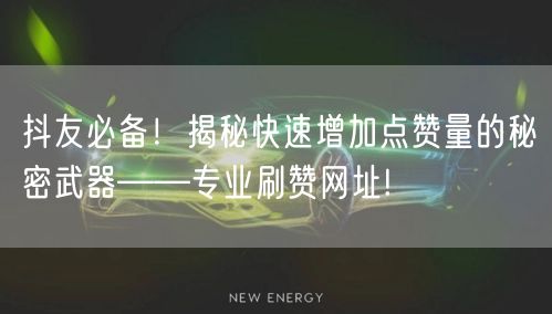 抖友必备！揭秘快速增加点赞量的秘密武器——专业刷赞网址!