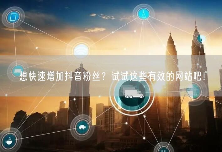 想快速增加抖音粉丝？试试这些有效的网站吧！