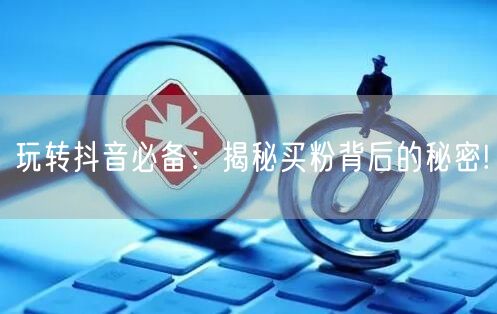 玩转抖音必备：揭秘买粉背后的秘密!