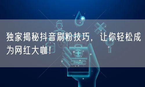 独家揭秘抖音刷粉技巧，让你轻松成为网红大咖！