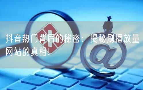 抖音热门背后的秘密：揭秘刷播放量网站的真相！