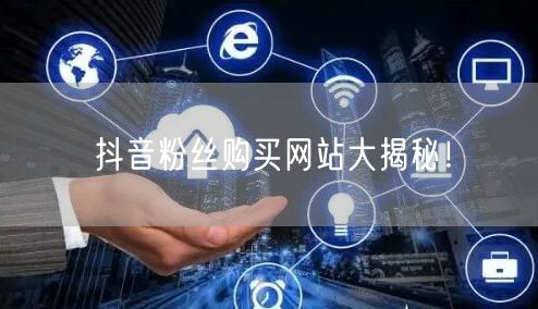 抖音粉丝购买网站大揭秘！