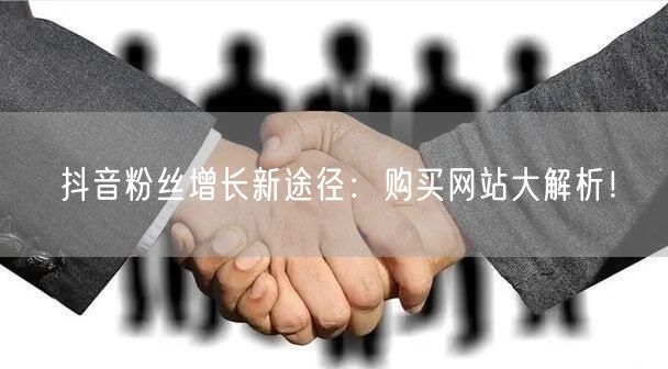 抖音粉丝增长新途径：购买网站大解析！