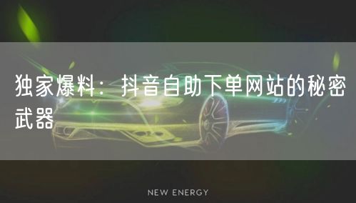 独家爆料：抖音自助下单网站的秘密武器