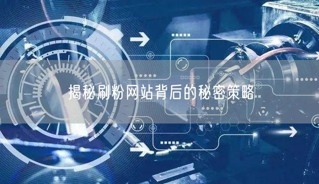 揭秘刷粉网站背后的秘密策略