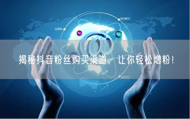 揭秘抖音粉丝购买渠道，让你轻松增粉！