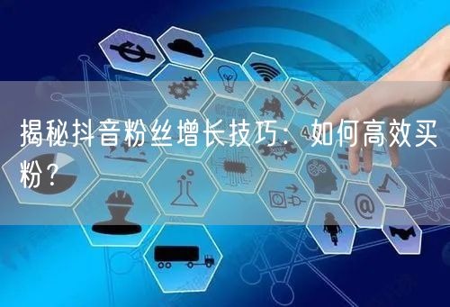 揭秘抖音粉丝增长技巧:如何高效买粉?