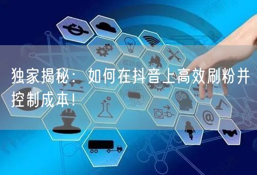 独家揭秘:如何在抖音上高效刷粉并控制成本!